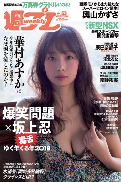 欧美贵妇vs高跟办公室